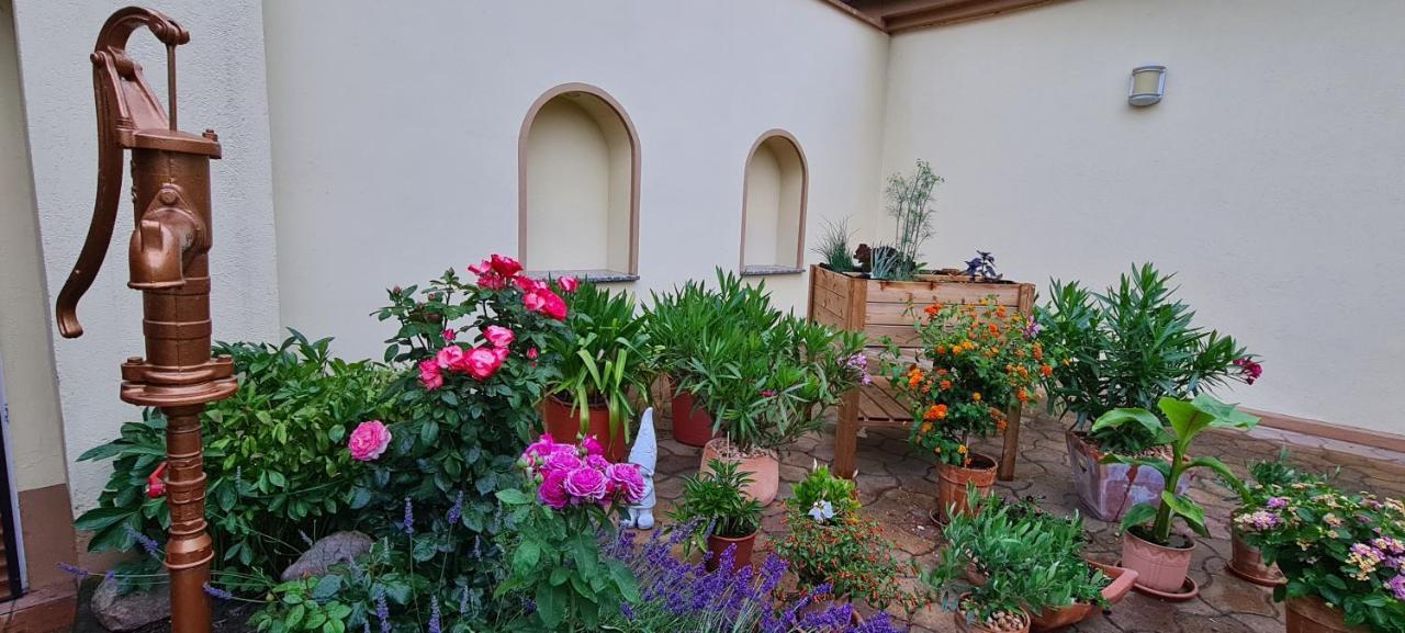 Die Ferienwohnung "Am Kietz" ชเวดท์ ภายนอก รูปภาพ